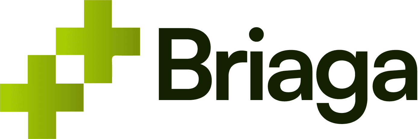 briaga.com